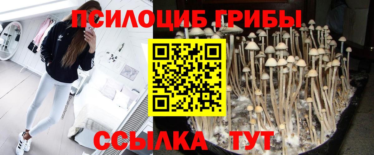 Псилоцибиновые грибы ЛСД Рославль