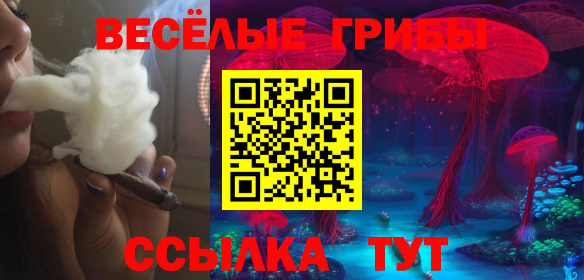 Рославль  Псилоцибиновые грибы прущие грибы  Вход с VPN 